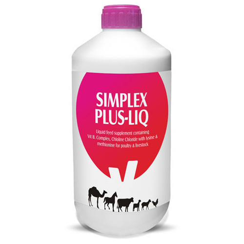 SIMPLEX Liq. Vitamin B-Complex Liquid